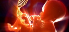 喜讯！！！ 安琪儿出生的新生儿可免费筛查耳聋基因、终身保存基因