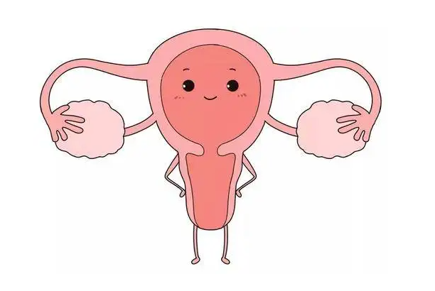 输卵管堵塞的检查方法都有哪些？